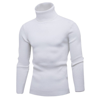 New Autumn Winter Turtleneck Sweater Men Solid Color Casual Knitted Pullovers Sweater Mens Slim Fit Pullover Mens Clothing