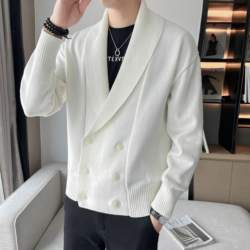 saferido  Double-Breasted Cardigan Sweater Men Spring Clothes Knitted Sweater Coat Pure Color Men Casual New Slim Fit Brand Clothes